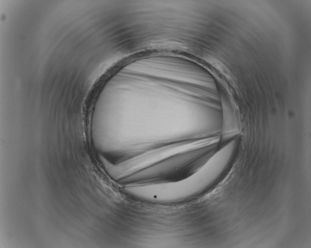 X0000088361022200706191213