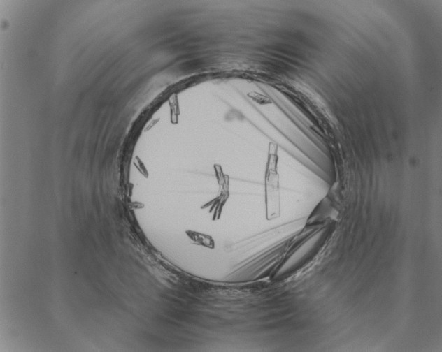 X0000088361023200706191213