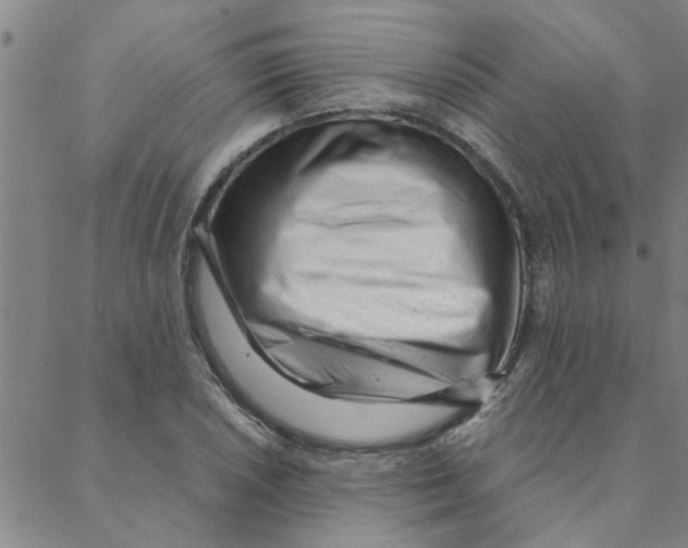 X0000088361026200706191213