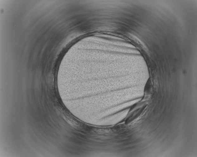 X0000088361027200706191213