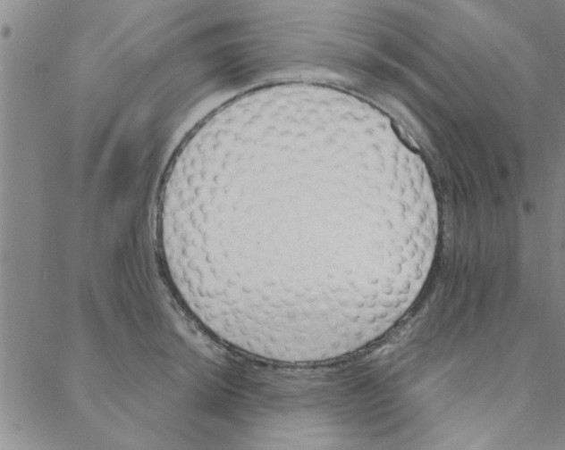 X0000088361044200706191213