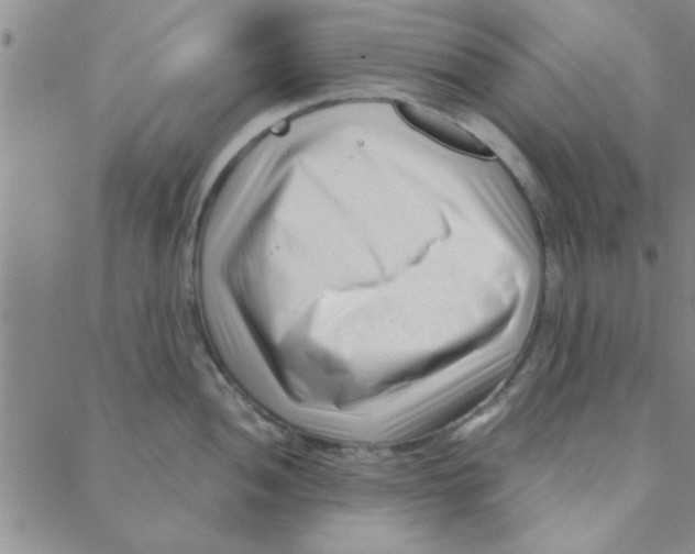 X0000088361052200706191213