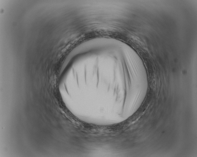 X0000088361061200706191213