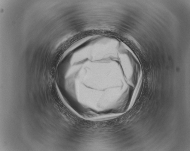 X0000088361064200706191213