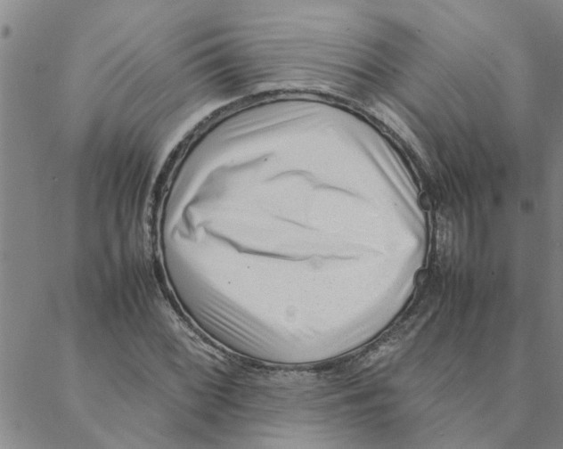 X0000088361068200706191212
