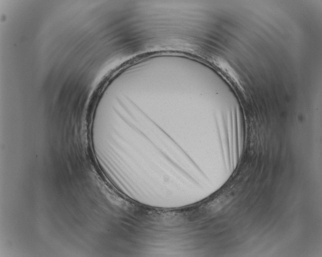 X0000088361072200706191212