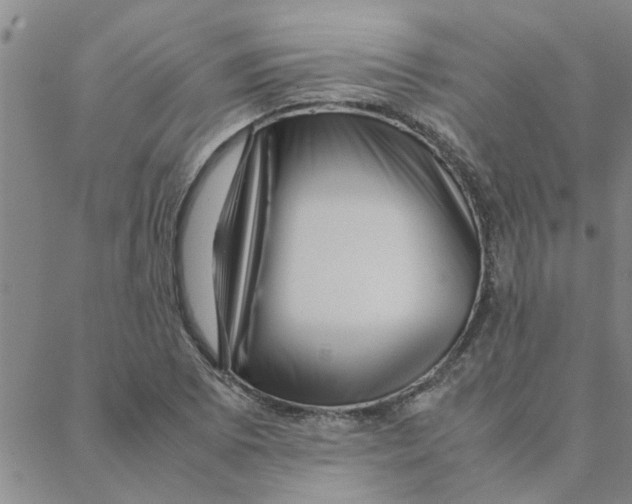 X0000088361073200706191212