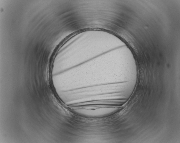 X0000088361076200706191212