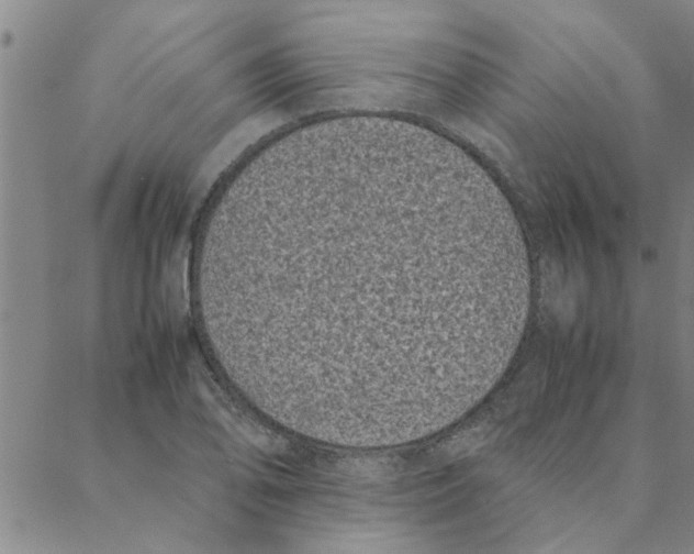 X0000088361078200706191212