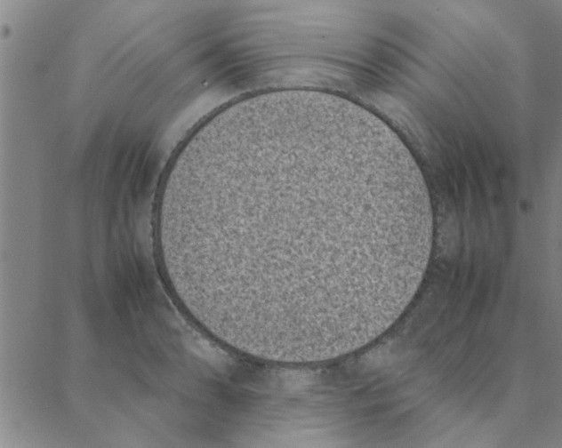 X0000088361086200706191212