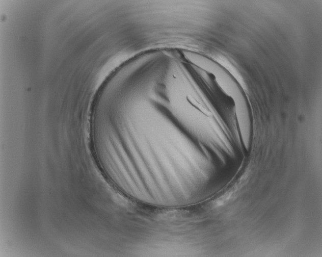 X0000088361093200706191212