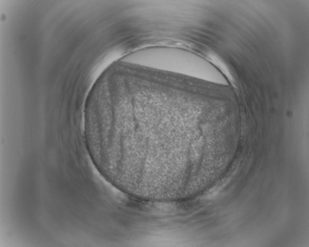 X0000088361095200706191212