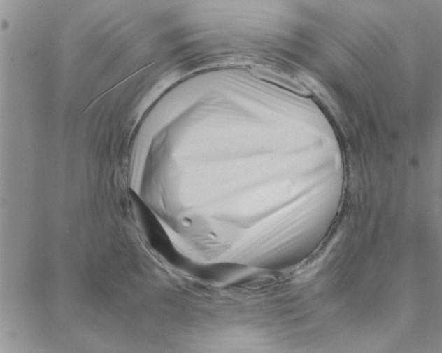 X0000088361097200706191212