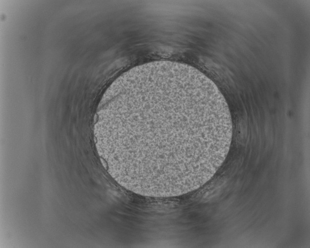 X0000088361105200706191211