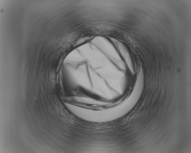 X0000088361108200706191211