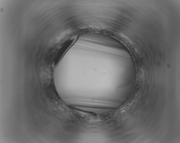 X0000088361110200706191211