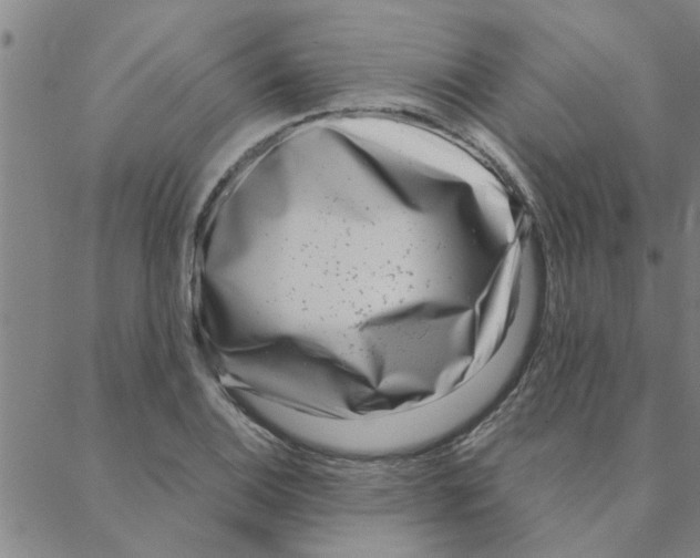 X0000088361124200706191211