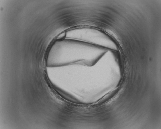 X0000088361125200706191211