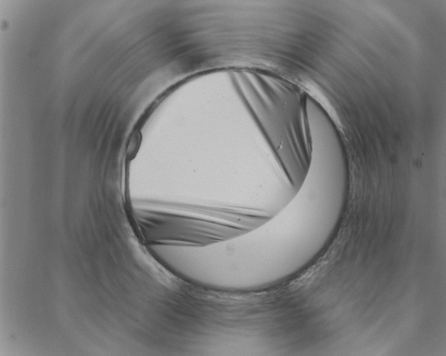 X0000088361132200706191212