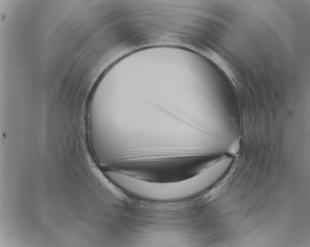 X0000088361142200706191212