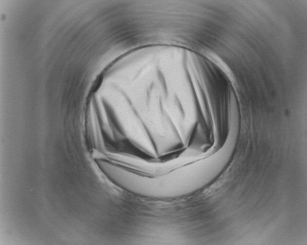 X0000088361144200706191212