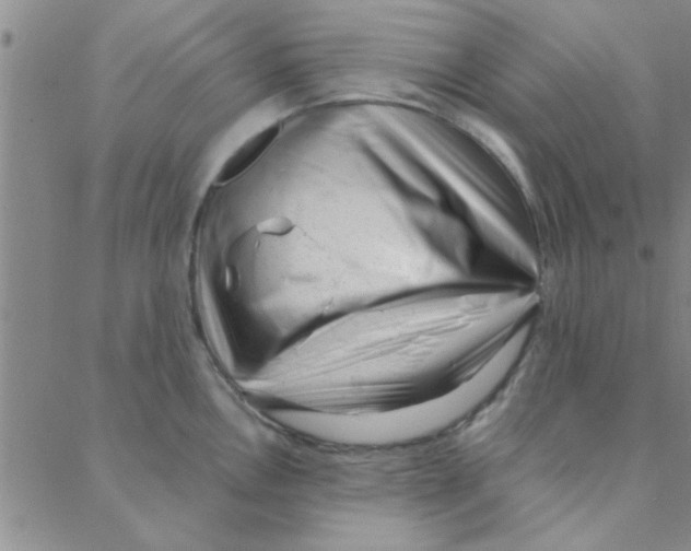 X0000088361146200706191212