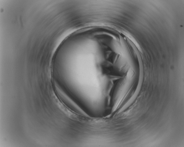 X0000088361148200706191212