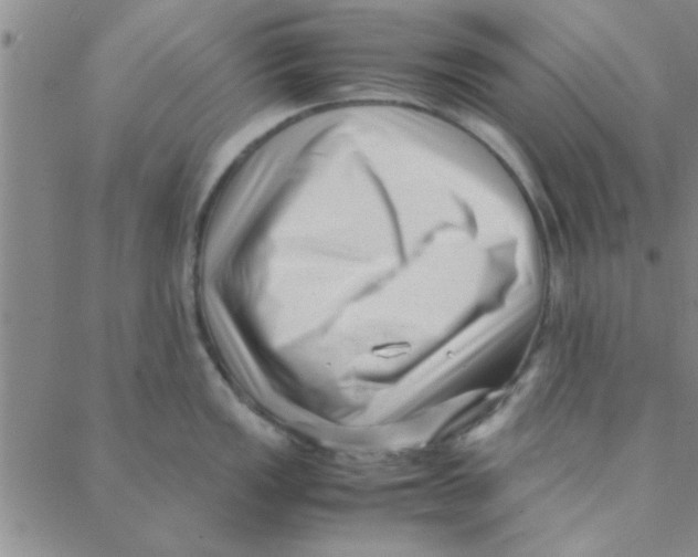 X0000088361149200706191212