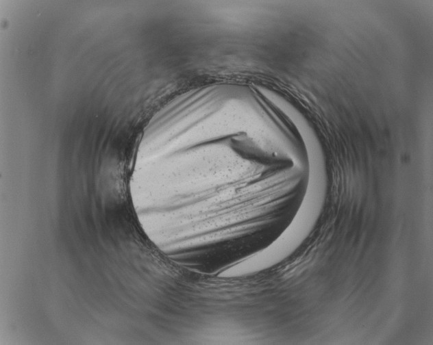 X0000088361156200706191211