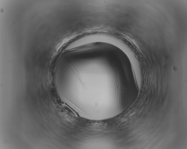X0000088361160200706191211