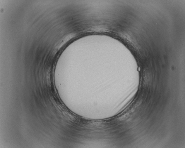 X0000088361162200706191211