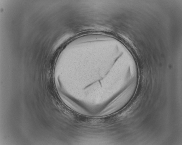 X0000088361163200706191211
