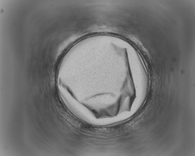 X0000088361167200706191211