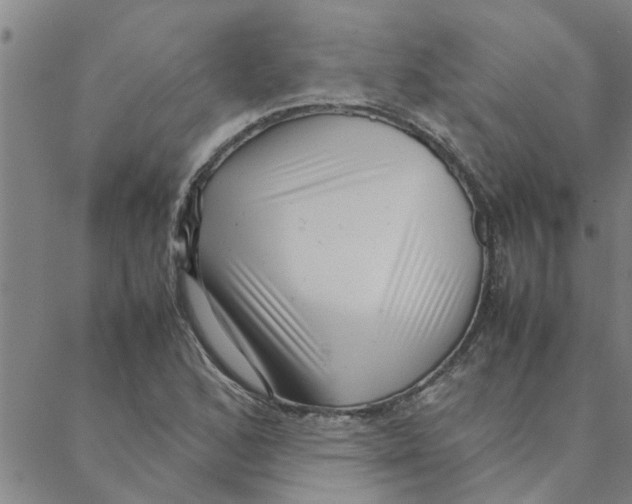 X0000088361168200706191211