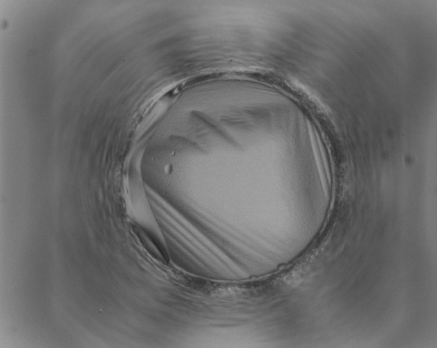 X0000088361169200706191211