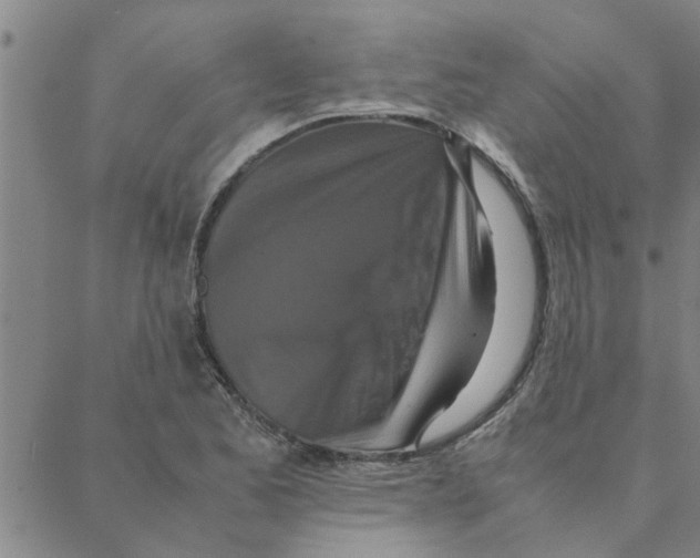 X0000088361173200706191211