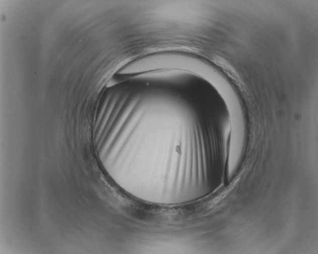 X0000088361177200706191211