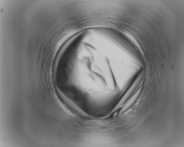 X0000088361197200706191210