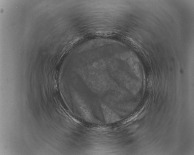 X0000088361202200706191210