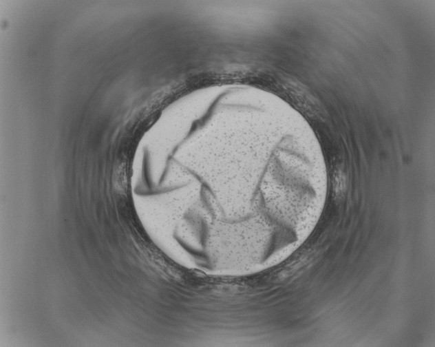 X0000088361204200706191210
