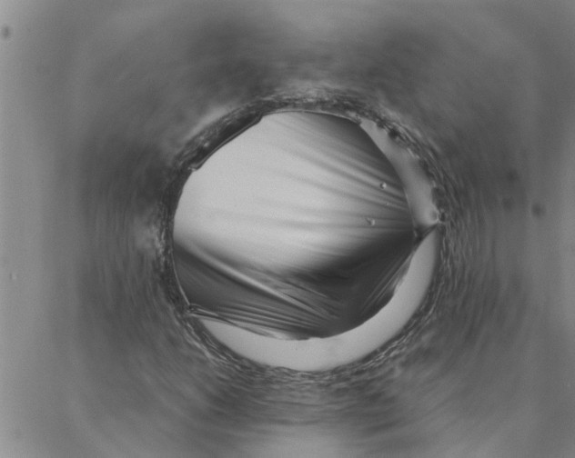 X0000088361206200706191210