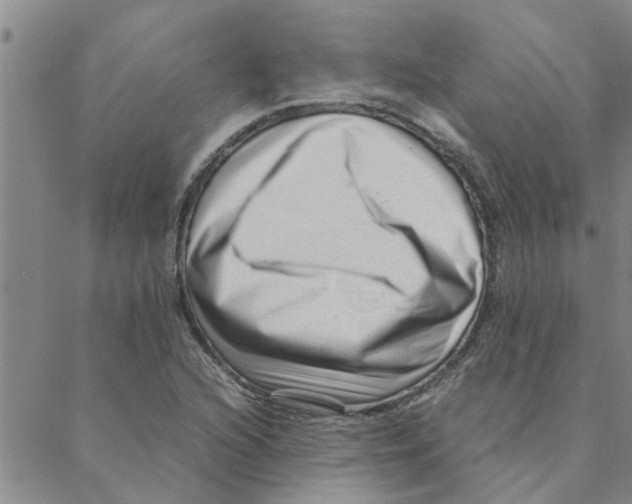 X0000088361216200706191210