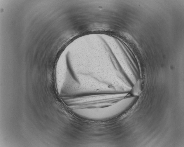 X0000088361217200706191210