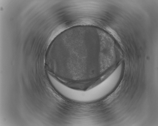 X0000088361226200706191210
