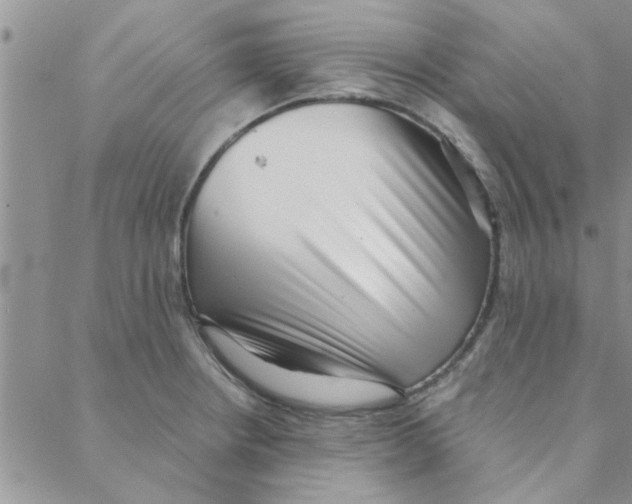X0000088361234200706191210