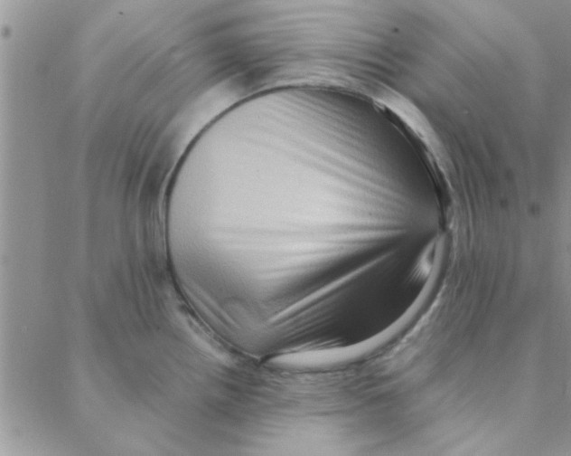 X0000088361242200706191210