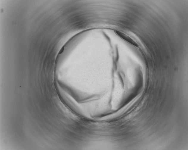 X0000088361244200706191210