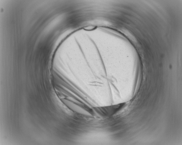 X0000088361248200706191210