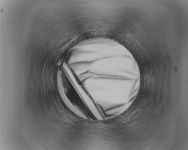 X0000088361250200706191210
