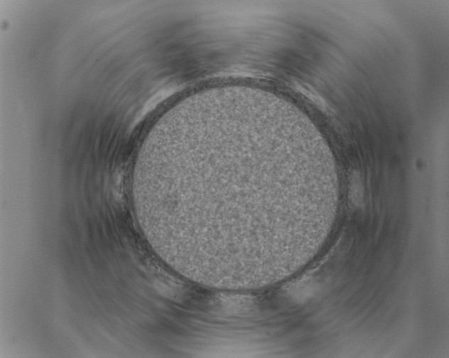 X0000088361258200706191209
